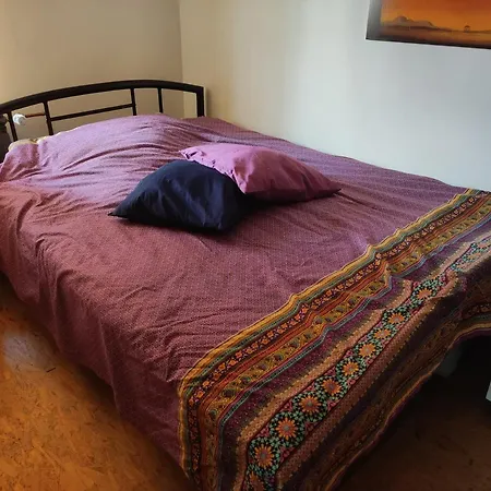 Historischer Hof, Einladend Fuer Mensch Und Tier. *