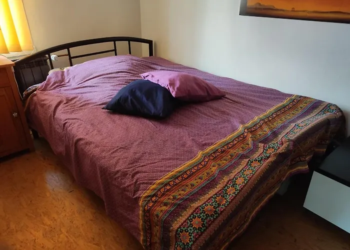 Historischer Hof, Einladend Fuer Mensch Und Tier. *